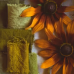 rudbeckia dyes for yellow and green natural colors