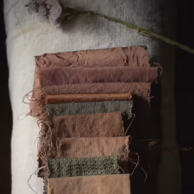 Rudbeckia dye for natural pink or green colors